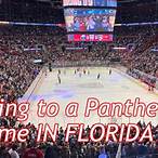 florida panthers bet in play